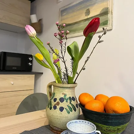 Apartman Eroilor Art