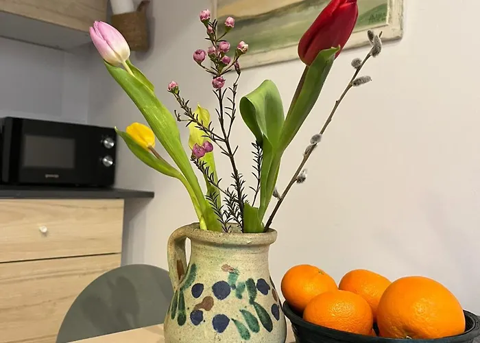 Lägenhet Eroilor Art